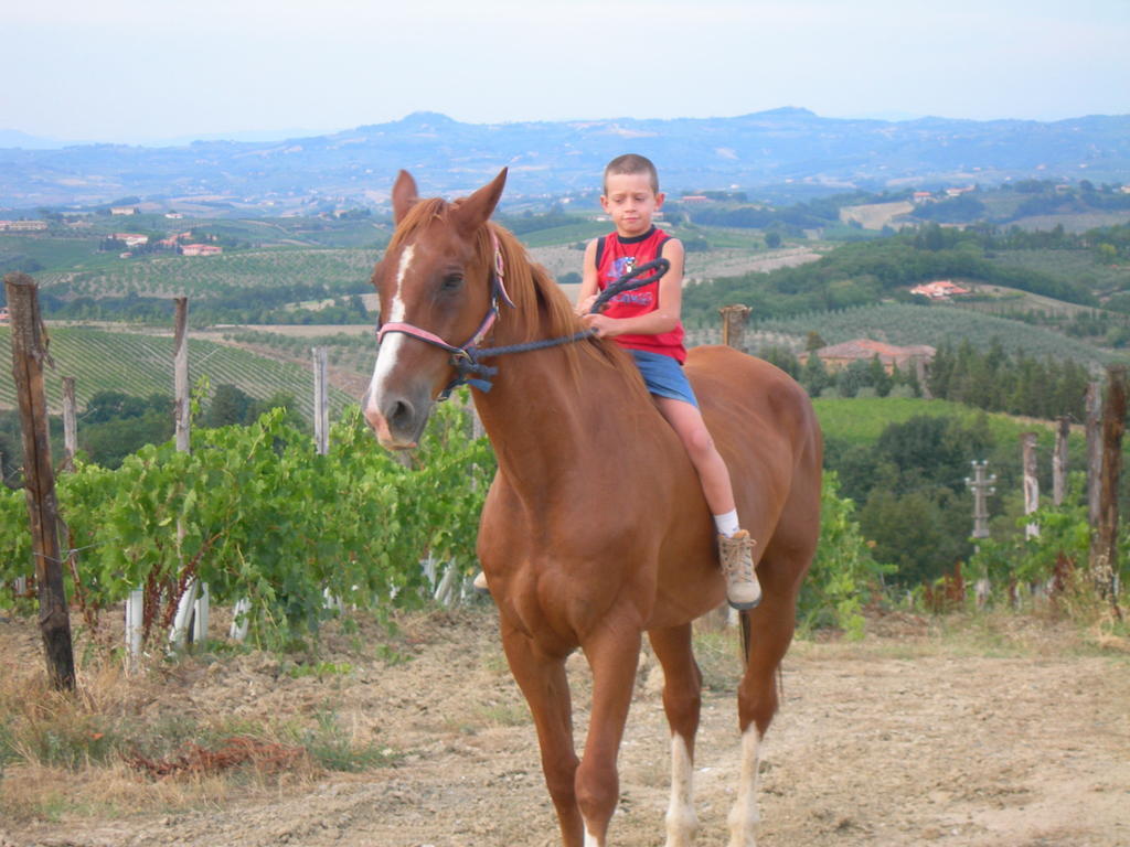 Agriturismo Podere La Marronaia San Gimignano Dış mekan fotoğraf
