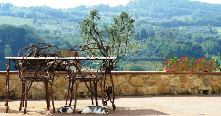 Agriturismo Podere La Marronaia San Gimignano Dış mekan fotoğraf